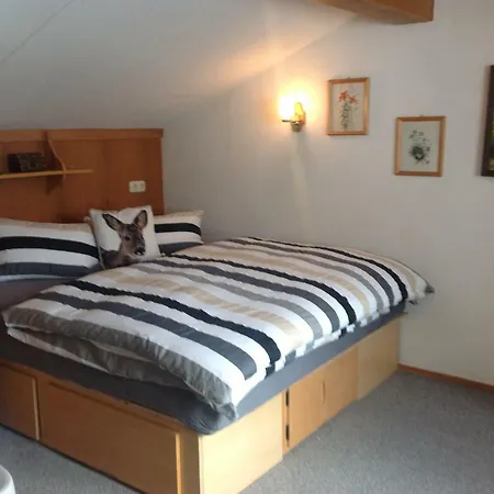 Apartment Haus Schander Bichlbach